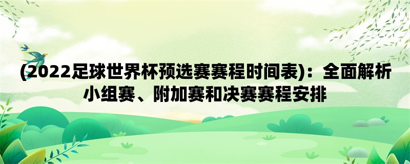 (2022足球世界杯预选赛赛程时间表)：全面解析小组赛、附加赛和决赛赛程安排