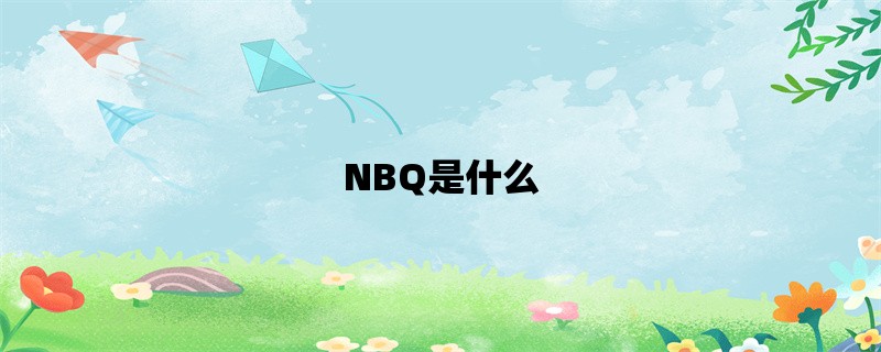 NBQ是什么？NBQ的定义、特点、应用及未来发展趋势详解