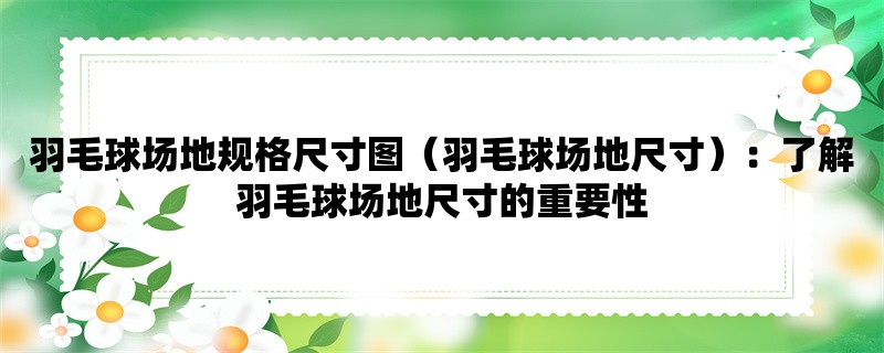 羽毛球场地规格尺寸图（羽毛球场地尺寸）：了解羽毛球场地尺寸的重要性