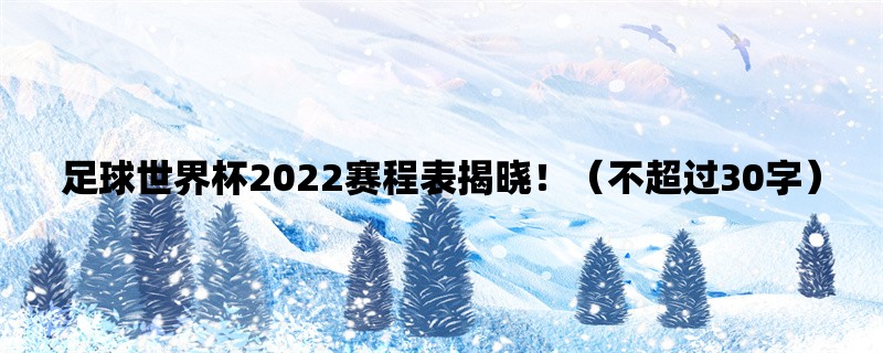 足球世界杯2022赛程表揭晓！