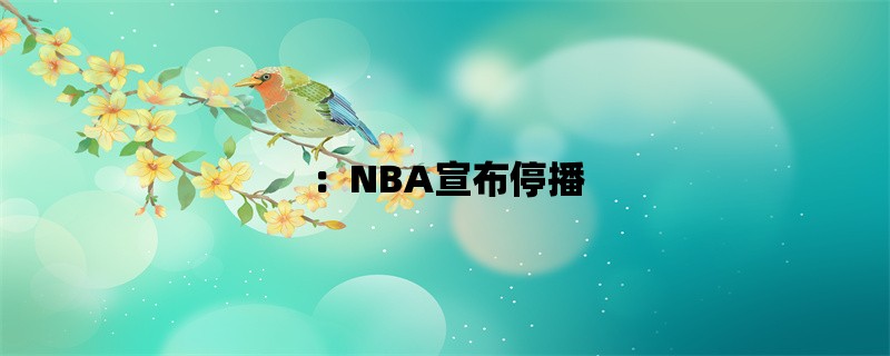 ：NBA宣布停播，球迷们的心情难以平静！