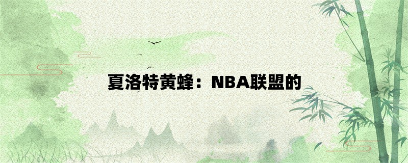 夏洛特黄蜂：NBA联盟的一支劲旅