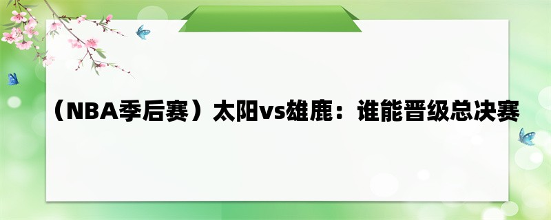 （NBA季后赛）太阳vs雄鹿