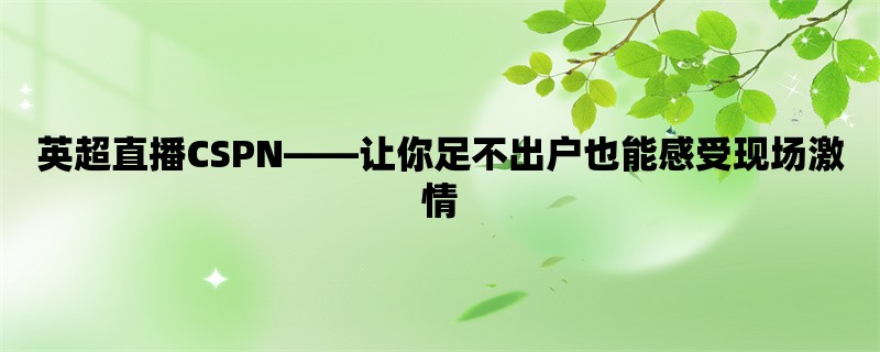 英超直播CSPN，让你足不