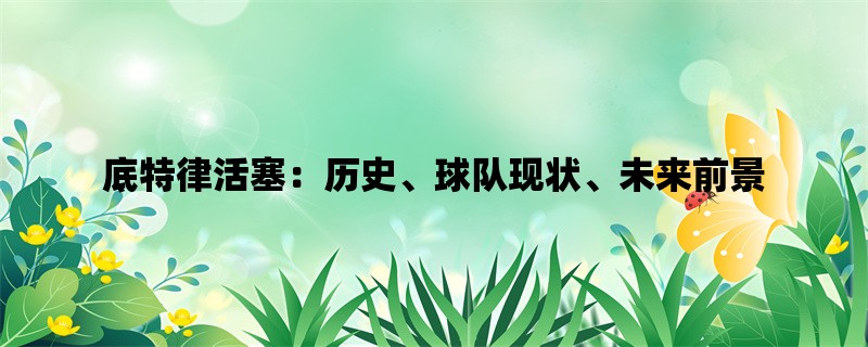 底特律活塞：历史、球队