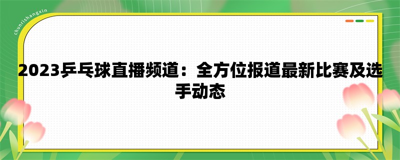 2023乒乓球直播频道：全方位报道最新比赛及选手动态