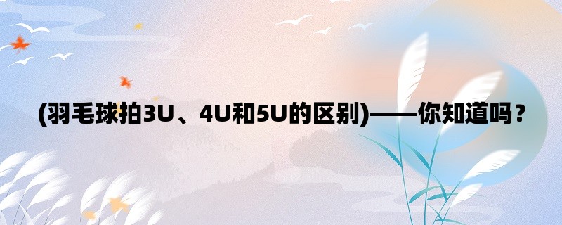 (羽毛球拍3U、4U和5U的区