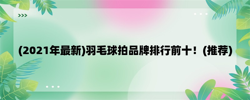 (2021年最新)羽毛球拍品牌