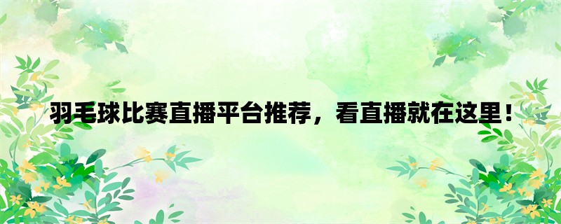 羽毛球比赛直播平台推荐