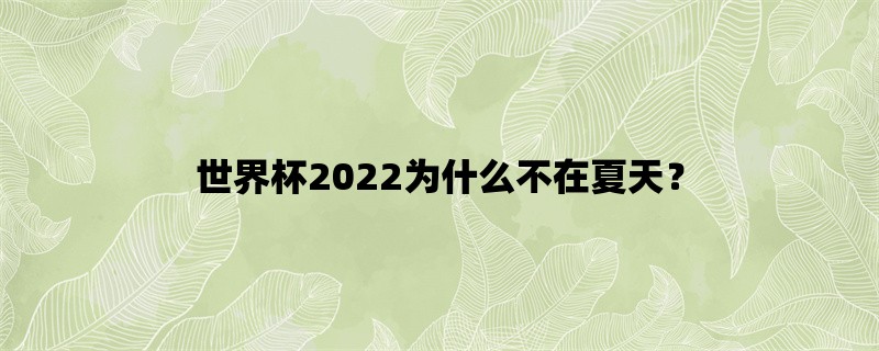 世界杯2022为什么不在夏天？