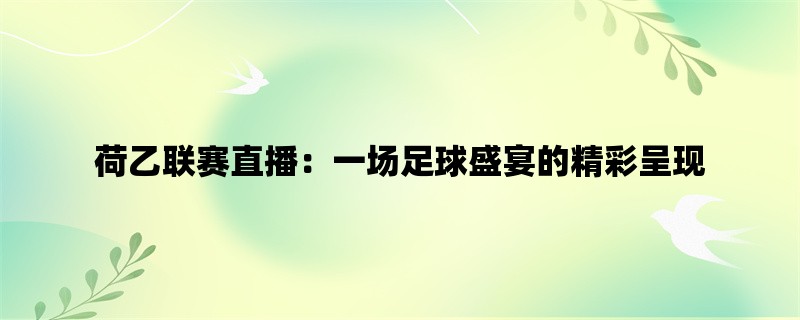 荷乙联赛直播：一场足球盛宴的精彩呈现