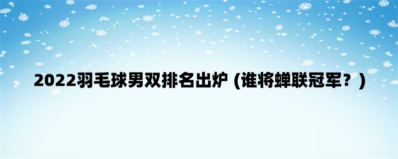 2022羽毛球男双排名出炉