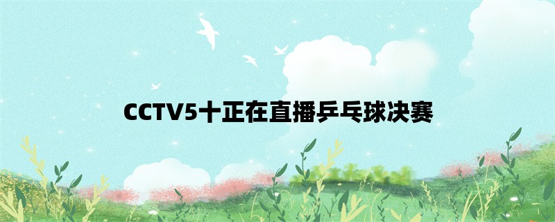 CCTV5十正在直播乒乓球决赛