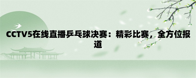 CCTV5在线直播乒乓球决赛：精彩比赛，全方位报道