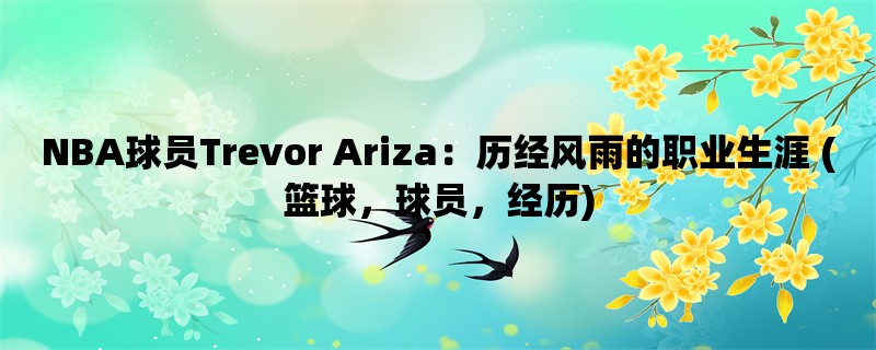 NBA球员Trevor Ariza：历经风雨的职业生涯 (篮球，球员，经历)