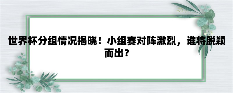 世界杯分组情况揭晓！小组赛对阵激烈，谁将脱颖而出？