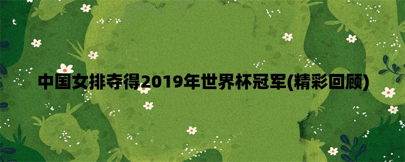 中国女排夺得2019年世界杯冠军(精彩回顾)