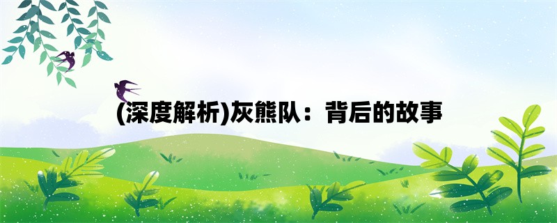 (深度解析)灰熊队：背后的故事