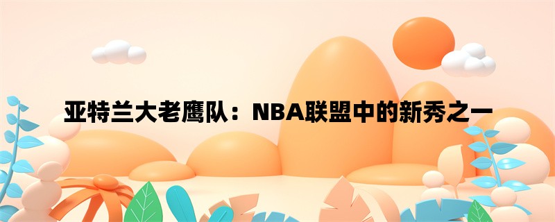 亚特兰大老鹰队：NBA联盟