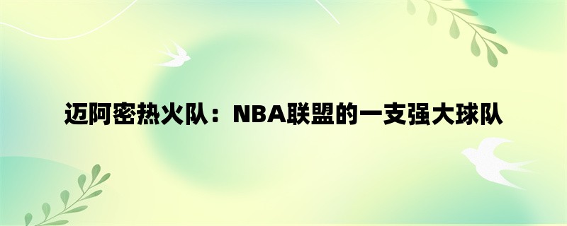 迈阿密热火队：NBA联盟的一支强大球队