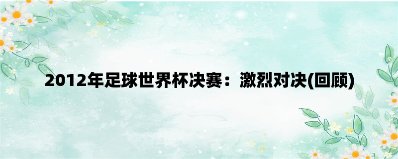 2012年足球世界杯决赛：激烈对决(回顾)