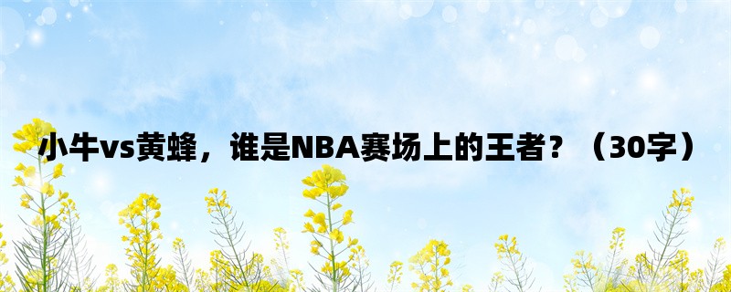 小牛vs黄蜂，谁是NBA赛场上的王者？