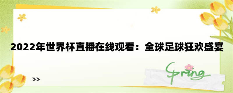 2022年世界杯直播在线观看：全球足球狂欢盛宴