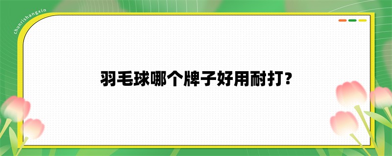 羽毛球哪个牌子好用耐打？