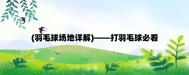 (羽毛球场地详解)，打羽