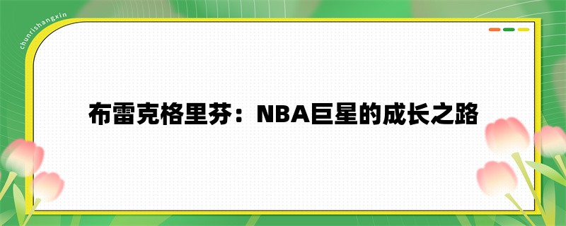 布雷克格里芬：NBA巨星的