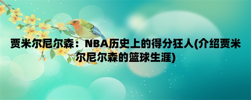 贾米尔尼尔森：NBA历史上