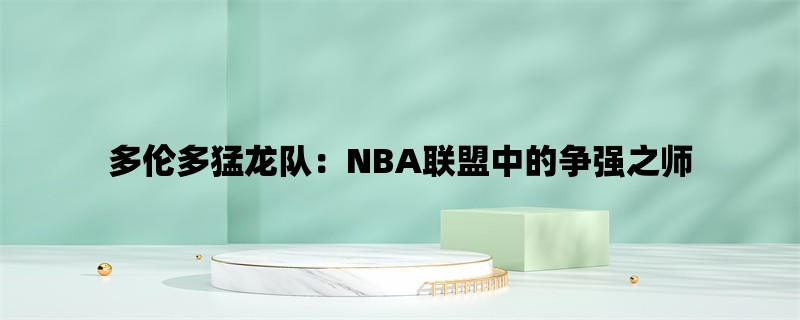 多伦多猛龙队：NBA联盟中