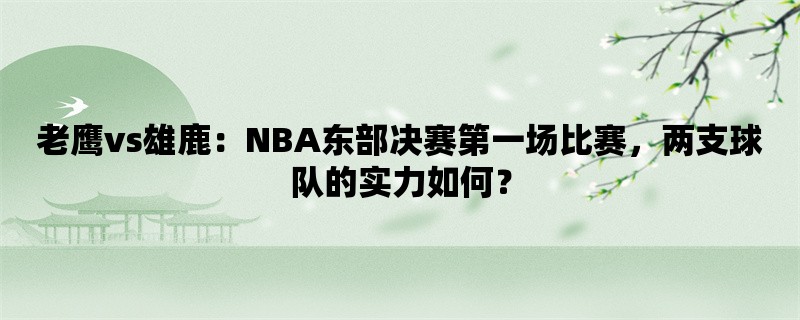 老鹰vs雄鹿：NBA东部决赛