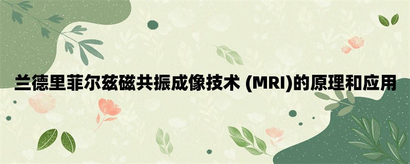 兰德里菲尔兹磁共振成像技术 (MRI)的原理和应用