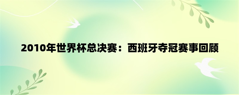 2010年世界杯总决赛：西班牙夺冠赛事回顾