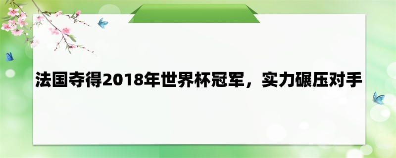 法国夺得2018年世界杯冠