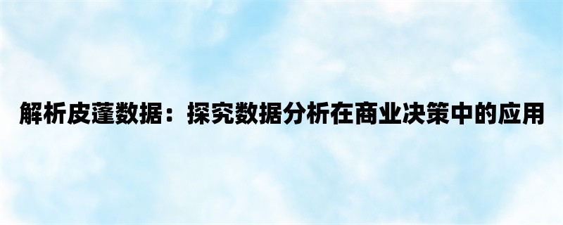 解析皮蓬数据：探究数据分析在商业决策中的应用