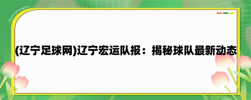 (辽宁足球网)辽宁宏运队