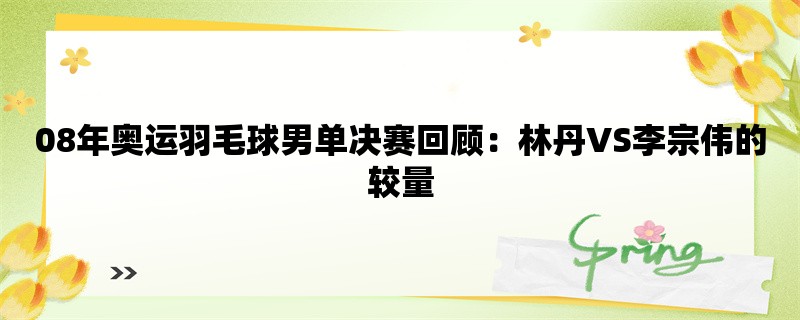 08年奥运羽毛球男单决赛