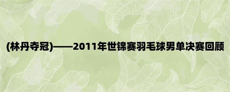 (林丹夺冠)，2011年世锦赛羽毛球男单决赛回顾