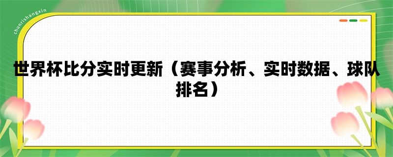 世界杯比分实时更新（赛事分析、实时数据、球队排名）