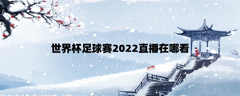 世界杯足球赛2022直播在