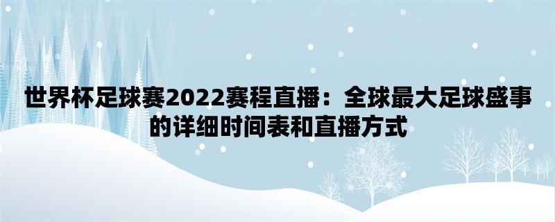 世界杯足球赛2022赛程直