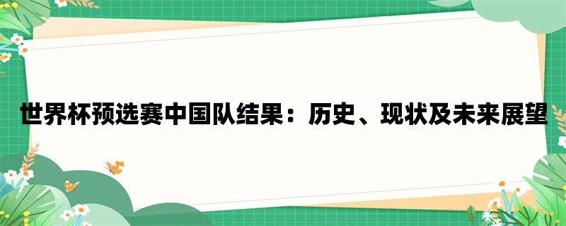 世界杯预选赛中国队结果