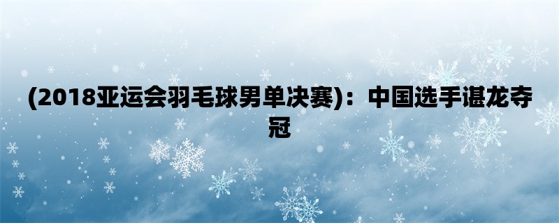 (2018亚运会羽毛球男单决