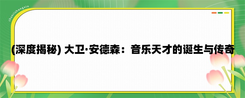 (深度揭秘) 大卫·安德森：音乐天才的诞生与传奇