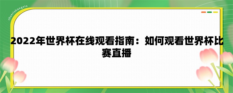 2022年世界杯在线观看指