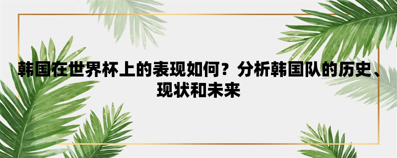 韩国在世界杯上的表现如