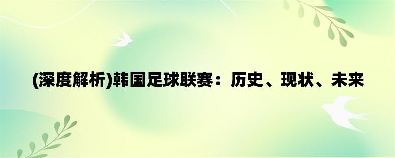 (深度解析)韩国足球联赛：历史、现状、未来