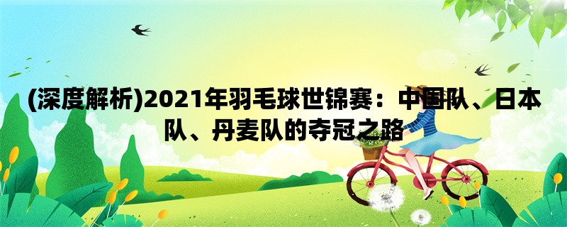 (深度解析)2021年羽毛球世